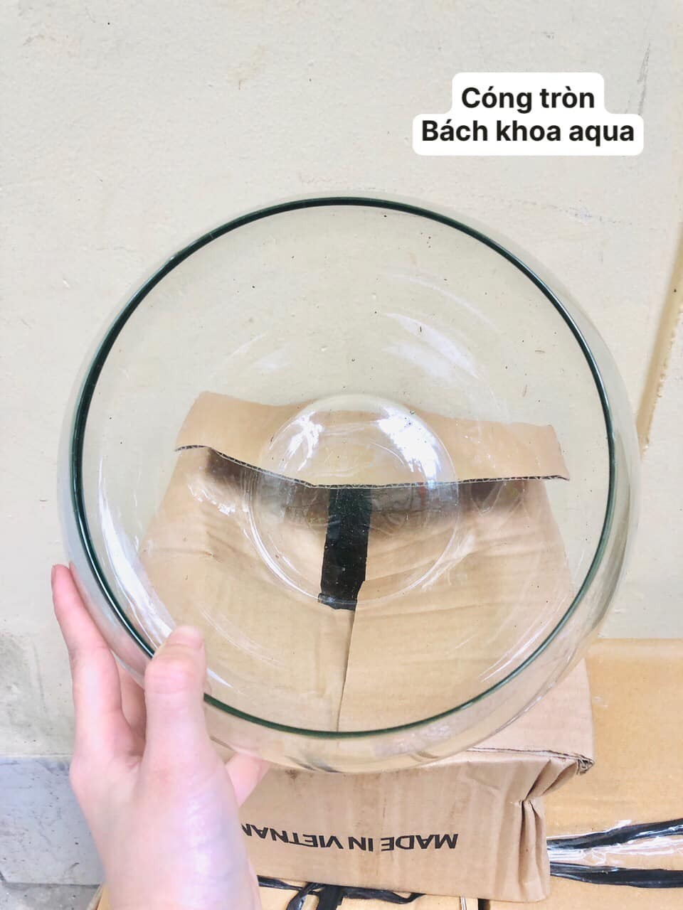 Cóng tròn để bàn đủ kích thước